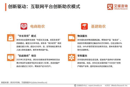 2022年中國鄉村數字經濟發展專題研究報告